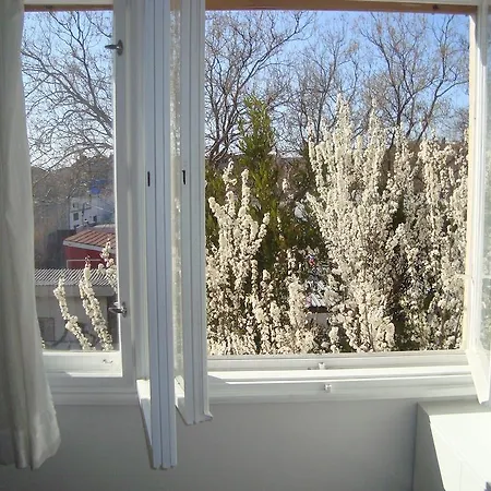 Riki Auberge de jeunesse