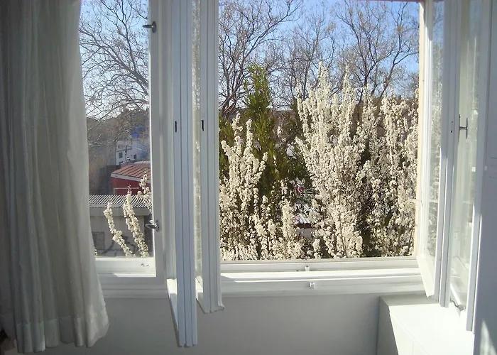 Riki Auberge de jeunesse